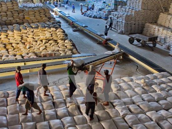 ĐBSCL phấn đấu đạt kim ngạch xuất khẩu 11,9 tỷ USD trong năm 2015
